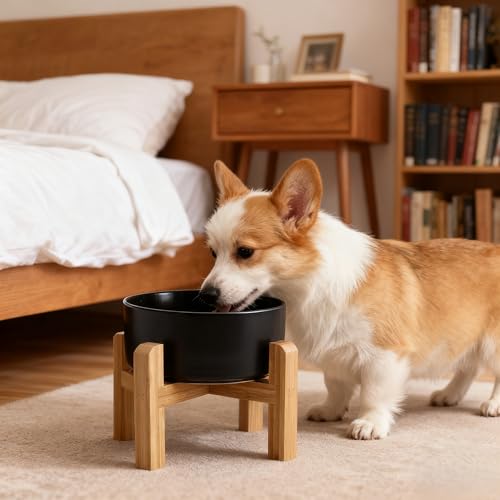 Elevated/Raised Ceramic Dog Bowl with Bamboo Stand,6 Inch 3.6 Cups Non Slip Heavy Weighted Single Pet Dish, for Small Medium Breed & Cats,Reduces Neck Strain Black - color: Black, size: 3.6 Cups - Medium