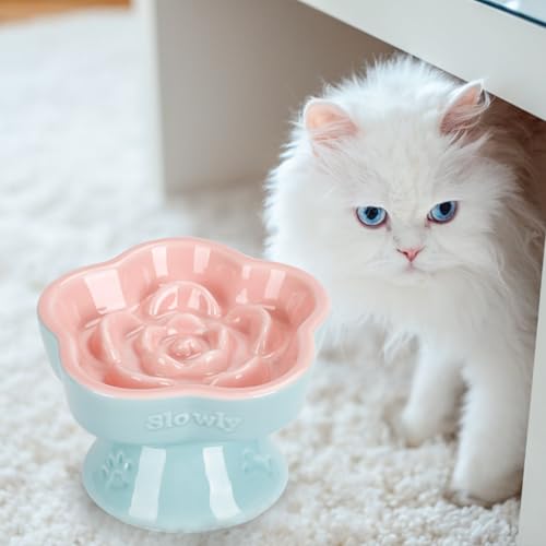 S&Q's CERAMICS Raised Slow Feeder Cat Bowl, Ceramic Elevated and Titled Glass Food Bowl Small Dogs Slow Feeder, Flower Shaped Cute Cat Dish for Dry and Wet Food (Pink, 5.8") - color: Pink