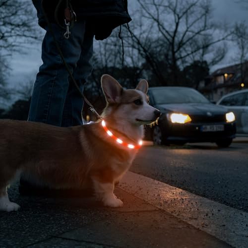 HIGO LED Dog Collar, Rechargeable Light Up Dog Collars, Lightweight Silicone Pet Safety Collar Lights for Night Walking (Orange-Silicone) - color: Orange-Silicone