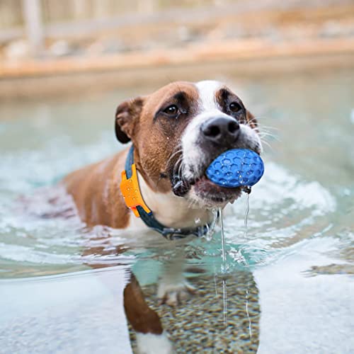 Squeaky Dog Balls, Indestructible Dog Toys for Aggressive Chewers Large/Medium Breed, Natural Rubber Interactive Chew Toys for Teeth Clean, Relieves Anxiety (Blue) - color: Blue