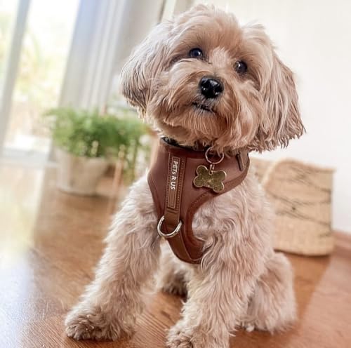 Premium No-Pull Dog Harness Soft Neoprene & Breathable Mesh Vest with Front & Back Clip D-Rings Adjustable Lightweight Walking Harness for Puppies, Small & Medium Dogs (Bronze Brown Gold, XS) - color: Bronze Brown Gold, size: XS: Neck 10.6-14.2'', Chest 1
