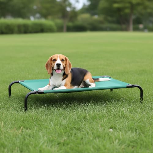 Amazon Basics Cooling Breathable Elevated Dog Bed with Metal Frame for Medium Dogs, 43" x 26" x 7.5", Green - color: Green, size: Medium