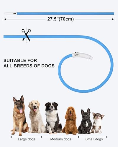 Joytale Light Up Dog Collar, Rechargeable Rainproof LED Collar for Night Walking Safety, Soft Silicone Glow in The Dark, Suitable for Small Medium Large Dogs, Blue - color: Blue