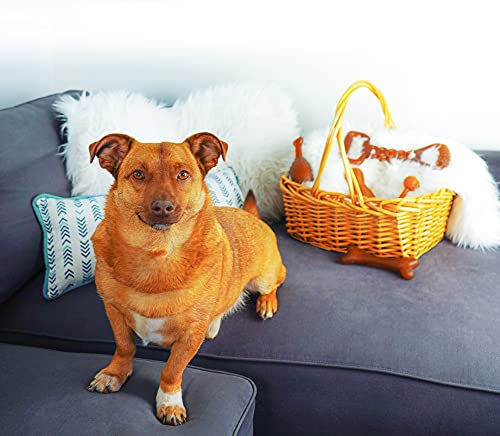 Fuzzy Puppy Dog Toys for Aggressive Chewers: All-Natural Rubber, Durable Dog Chew Toy, Great Teething Toys for Puppies | Three Ring Circus (FP-Toy01) - style: Three Rings