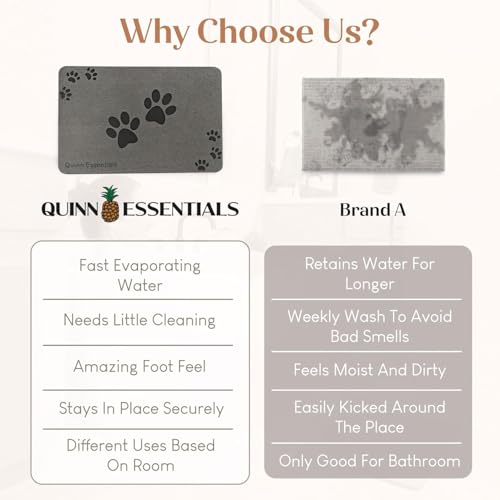 Quinn Essentials Dog Water & Feeding Mat Fast-Dry Diatomaceous Stone Tray for Bowls, Anti-Slip, Spill Control, Cleaner Area, Cat Feeding Tray, Travel Pet Mat