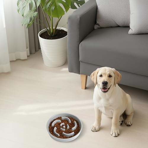 Slow Feeder Dog Bowl, Ceramic 2 Cups Dog Food Bowls for Small, Medium, and Large Breed, Anti-Slip Maze Puzzle Food Dish to Slow Down Eating (Grey, 2 Cups) - color: Flower - Grey