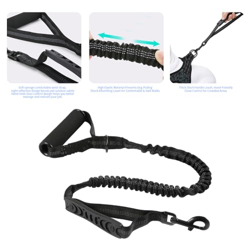 Bungee Double Handle Dog Leash Shock Absorbing Lead Traffic Control, Purple | Two Handles, Reflective, Shock Absorption, 4FT to 5FT Elastic Length, For Small Medium Large Dogs, No Adjustable - color: Purple
