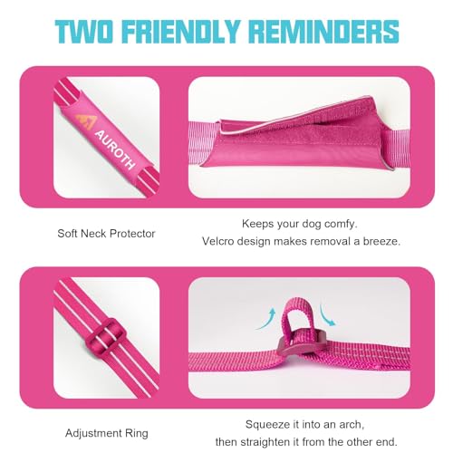 AUROTH Dog Harness and Leash Set, Soft Padded Service Dog Vest with 5.25FT Dog Leash, No Choke, Easy On Pet Vest, Adjustable Reflective No Pull Pet Vest Medium Sized Dog, Easy Walking and Training - color: Rose Red, size: M(Neck:17.7"-24",Chest:23.6"-31.9
