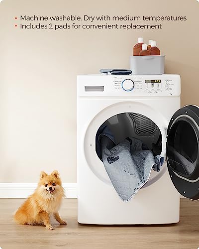 Feandrea Washable Dog Pee Pad, 2 Pack, Reusable, 24 x 18 Inches, S, Waterproof Pet Training, Leakproof, Non-Slip, Super Absorbent, Gray UPTD018G01 - size: S (24"L x 18"W)