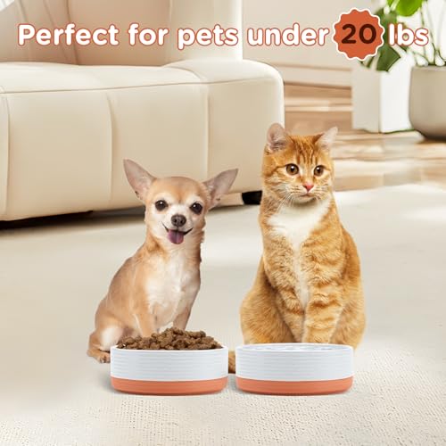 SPUNKYJUNKY Ceramic Dog and Cat Bowls 2 Pack, 5.1'' Dog and Cat Food Water Double Feeding Bowls Non-Slip for Cats and Puppy Small Sized Breed Microwave Dishwasher Safe - 13.5 OZ, 2pcs, Pattern White - color: Pattern White - Only Bowls*2, size: 5.1 in - 1.