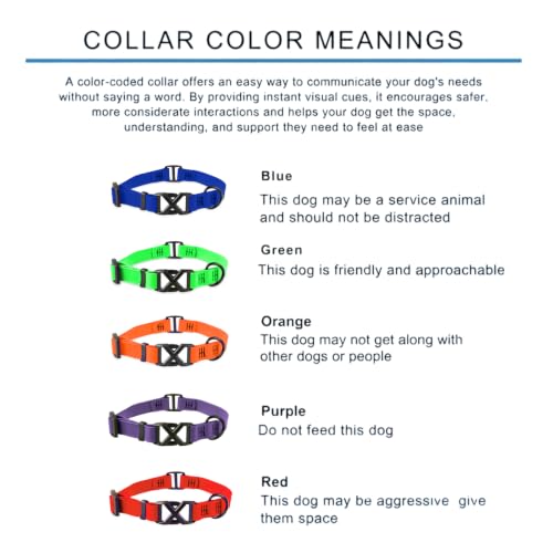 DogTraxs Light Duty Biothane Dog Collar, Cobalt Blue, 3/4" W x 14-17" L | Medium Dogs, Waterproof, Quick Release Adjustable Buckle - color: Cobalt Blue, size: 3/4" x 14-17"