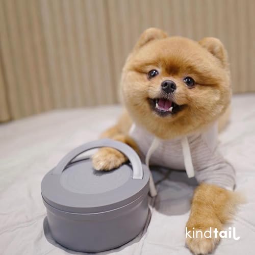 KindTail Portable Pet Feeder, Travel Dog Bowls with Lid and Handle, Microwave and Dishwasher-Safe, 10oz Inner Bowl & 20oz Outer Bowl, Grey - color: Grey, size: Small