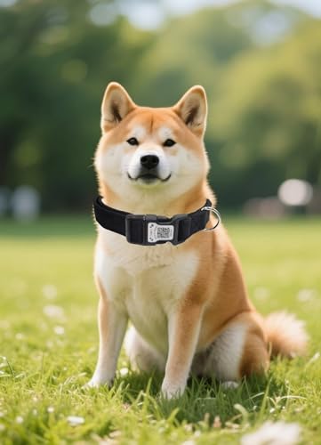 THAIN Smart QR Code Dog Collar-Nylon & Velvet Pet Collar with Unique ID Registration, Adjustable Plastic Buckle for Medium Dogs–Black, Red, Pink, Yellow (Black, M) - color: Black, size: M