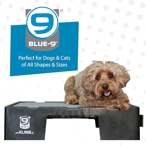 Blue-9 KLIMB Jr. Professionally Designed Dog Training Platform and DIY Guide for Behavior Basics, Made in The USA, Black - color: Black