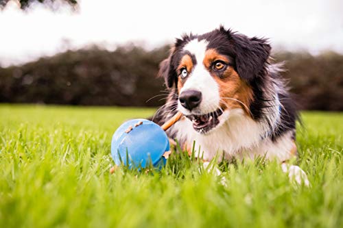 Outward Hound Guru Treat-Dispensing Puzzle Ball Dog Toy, Blue - color: Blue