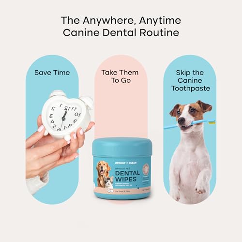Uproot Cleaner Pro Pet Hair Remover & Dental Finger Wipes Set: The Ultimate Pet Hair Removal Tool for Non-Knit Surfaces & Cat and Dog Teeth Cleaning Wipes for Plaque, Tartar, & Breath