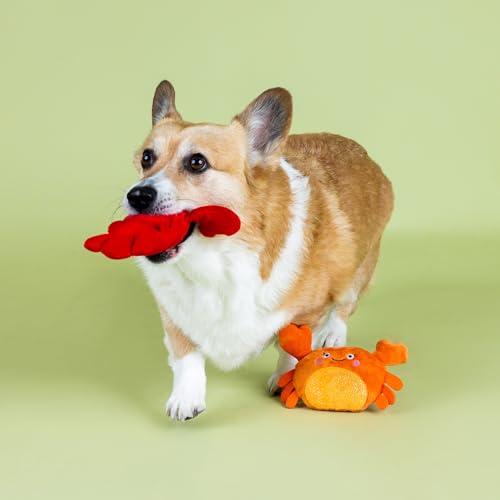 Fringe Studio Plush Dog Toy Set,You're Pretty Snappy Lobster & Crab 2 Piece Set,Pet Shop Collection (312061) - color: You're Pretty Snappy
