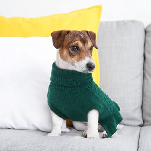 QBLEEV Puppy Sweaters - Green Pet Sweater Dress with Turtleneck - Small Dog Winter Warmth for Girls & Boys - Christmas - color: Green, size: Small