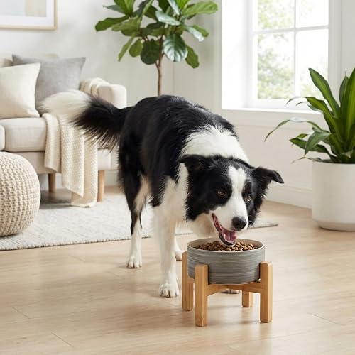 hjn Elevated Ceramic Dog Bowl with Bamboo Stand, Raised Pet Feeding Station for Small Medium Dogs Cats, Modern Design with Anti-Slip Base (White Gray, 7.6Cup) - color: White Gray, size: 7.6Cup
