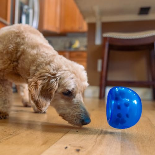 Outward Hound by Planet Dog Lil' Snoop Dog Toy – Treat‑Dispenser Puzzle Ball, Interactive Slow Feeder, Small to Medium Dogs, Bouncy & Mint-Infused, Blue, 3.9" - color: Blue Lil Snoop
