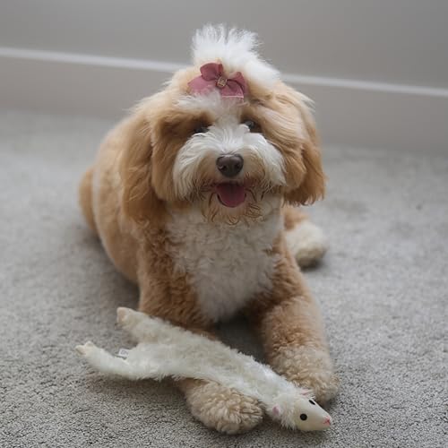 SPOT Skinneeez Crinklers Lamb - Stuffing-Free Dog Toy with Crinkle & Squeaker Sounds, Durable for Moderate Chewers, Tug Toy for Small Dogs & Puppies, 14in - style: Small Lamb