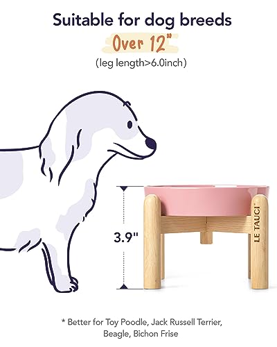 LE TAUCI Ceramic Slow Feed Dog Bowls, Elevated for Small Breeds, Anti-Gulping, Non-Slip, 6 inch, Pink - color: Pink Bloom+Stand, size: S-0.6 Cups