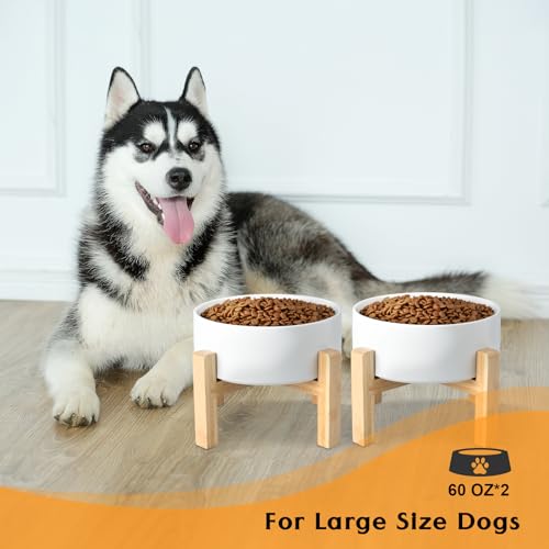 SPUNKYJUNKY Ceramic Elevated Dog Bowls 2 Pack - 8.3inch Raised Dog Bowls with Non-Slip Wooden Stand for Large Dogs Dishwasher Safe(White,60OZ*2) - color: White, size: Large - 7.6 CUPS*2