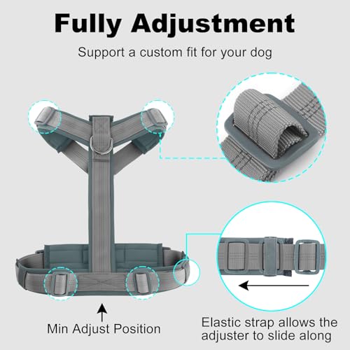 Plutus Pet No Pull Dog Harness, Adjustable Nylon Harness with Soft Padding, Reflective and Heavy Duty Dog Harness for Small, Medium, Large Dogs(Gray, M) - color: Gray, size: M