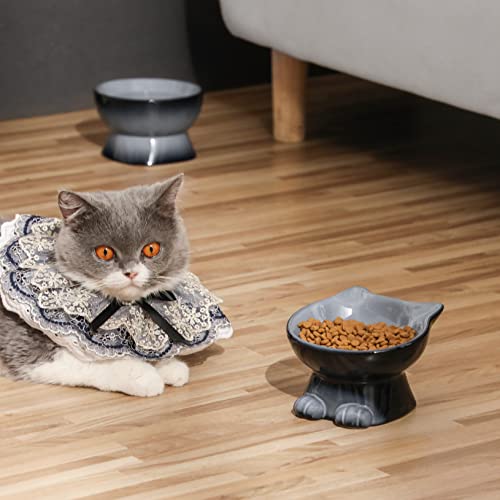 Nihow Ceramic Raised Cat & Dog Bowls: 5 Inch Elegant Gray (2 PC), Protecting Pet's Spine, Feeding & Watering Supplies, Modern Design, Anti Vomiting, Whisker Friendly - color: Gray, size: 4.5 OZ+8 OZ