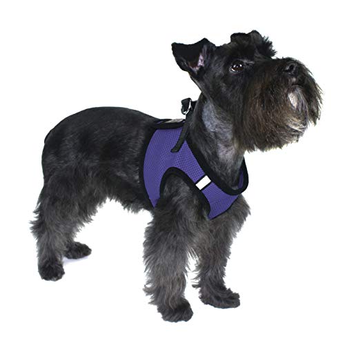 Dogline Boston Step in Mesh Dog Harness with Service Dog Patch No Choke Pet Vest Soft Gentle Padded Chest Halter for Puppies Small Medium and Large Dogs 18 to 21 inches Girth Purple - color: Purple, size: Girth 18 to 21"