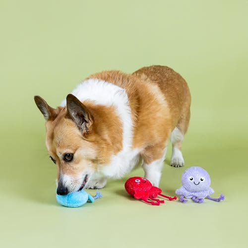 Fringe Studio Too TENTA-Cool Small Plush Dog Toy 3PCS Set, PetShop Collection (662127) - color: Multicolor