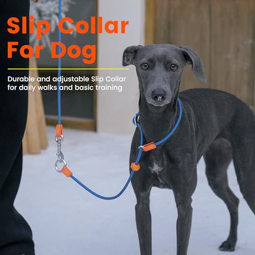 HowGo Slip Collar for Dogs,No Pull Adjustable Martingale Collar for Training, Nylon Rope,Dual Stopper and Durable Aluminum Hardware,Spring-Loaded,for Small Medium Large Dogs(MintGreen) - color: MintGreen
