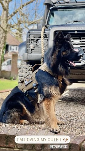 OneTigris Tactical Dog Harness with 5X Metal Buckle,Dog MOLLE Vest with Handle,No Pulling Front Clip,Hook and Loop Panel for Dog Custom Patch - color: Brown, size: XL