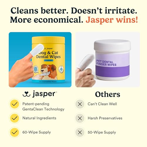 Jasper Dog Dental Wipes, Vet-Recommended All-Natural Finger Toothbrush Wipes for Dogs, Fresh Breath & Tartar Control in Seconds – No Brush and Toothpaste Needed, Unscented, 60 Count