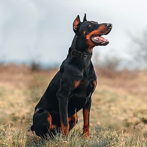 Tactical Dog Collar Military Adjustable Dog Collars Soft Nylon Training Collar with Patch Heavy Duty Metal Buckle Collars for Medium Large Dogs (Black, M) - color: Black, size: M
