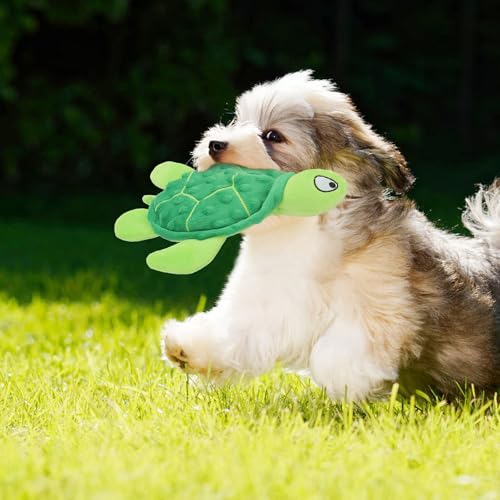 Squeaky Sea Turtle Plush Dog Toy - Durable, No Stuffing, Interactive Chew Toy for Small Dogs - Relieve Anxiety, Teething, and Keep Them Busy for Puppy(Green) - color: Green