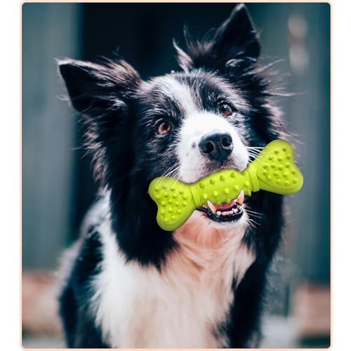 Bone Shape Dog Squeaky Toys, Durable Dog Chew Toys for Aggressive Chewers, Puppy Teething Toys for Small/Medium Dogs Natural Rubber Puppy Chew Toys for Teething