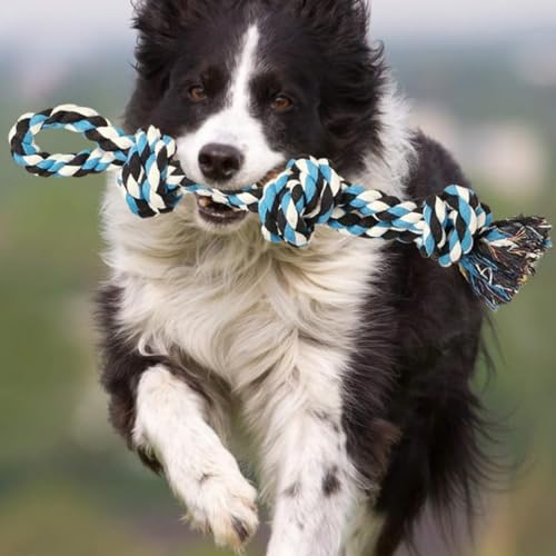 2026 New Dog Rope Toys 2 Nearly Indestructible Pet Toys for Medium to Large Breed, Dental Cleaning Chew Toys, Dogs Tug Toy for Boredom, Teething for Aggressive Chewers