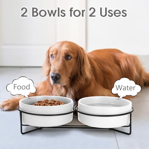 Ceramic Dog and Cat Bowl Set with Stand, 3.6 Cups Dog Food and Water Bowl Suitable for Small and Medium Pets (28.7oz White) - color: White, size: 28.7oz