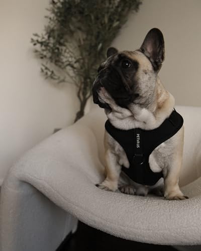 Premium No-Pull Dog Harness Soft Neoprene & Breathable Mesh Vest with Front & Back Clip D-Rings Adjustable Lightweight Walking Harness for Puppies, Small & Medium Dogs (Black, S) - color: Black, size: S: Neck=13.8-17.3''/Chest=16.1-21.3''