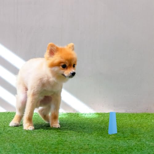 Dog Potty Urine Post for Breeds Convenient Pee Station with Stable Base Indoor Outdoor Training Tool Dog Peeing Column for Cleanliness