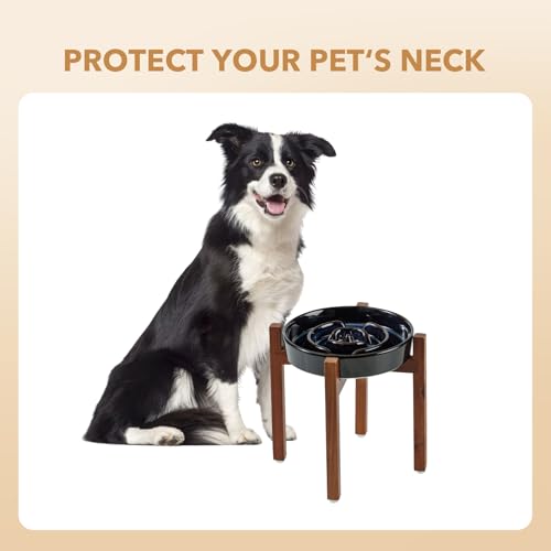 Havniva 1.6 Cup Elevated Slow Feeder Dog Bowls, 8.2” Ceramic Dog Slow Feeding Bowls with Acacia Wood Stand, Raised Dog Food Bowl Puzzle Slow Feeder for Medium Dogs/Fast Eater, Non-Slip & Anti-Choking - color: 1 x Starry Sky + Stand - A, size: L- 8.2inch /