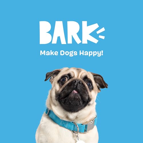 BarkBox Santiago Seal Dog Toy | Plush Rip & Reveal Toy with Hidden Surprise Inside & Squeaker | Discover & Squeak Toy for Small to Medium Dogs - color: Santiago Seal