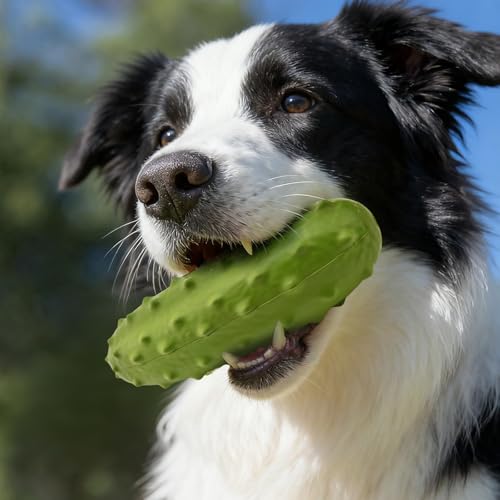 LIFLIX 2PCS Tough Squeaky Dog Toys, Durable Dog Chew Toy with Natural Rubber, Teething Toys for Medium Large Breeds, Cucumber Pickle Shape, Yellow & Green - color: yellow and green