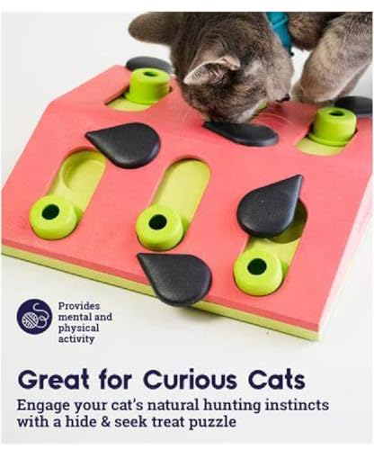 Interactive Dog and Cat Games Treat Hiding Challenge Mental Stimulation with Rewards (10 Inch Melon Madness Cat Game) - size: 10 Inch Melon Madness Cat Game