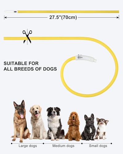 Joytale Light Up Dog Collar, Rechargeable Rainproof LED Collar for Night Walking Safety, Soft Silicone Glow in The Dark, Suitable for Small Medium Large Dogs, Yellow - color: Yellow