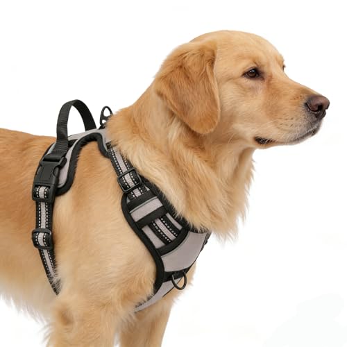 Gray No-Pull Dog Harness with 2 Leash Clips,Soft Padded Vest for Medium Dog, Adjustable Reflective Dog Vest Easy to Put on and Take Off, (Neck: 14"~20", Chest: 21"~27", Gray M) - color: Gray, size: Medium