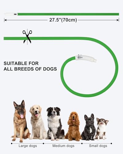 Joytale Light Up Dog Collar, Rechargeable Rainproof LED Collar for Night Walking Safety, Soft Silicone Glow in The Dark, Suitable for Small Medium Large Dogs, Green - color: Green