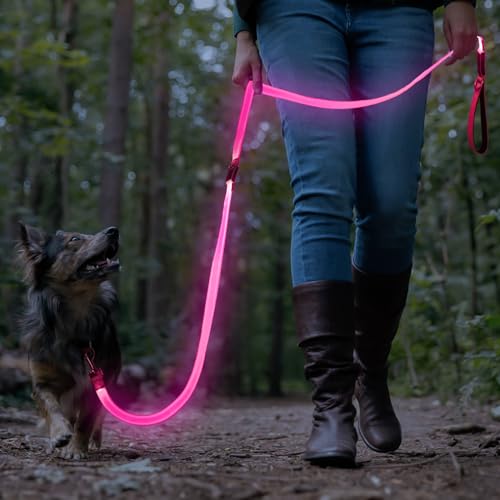 Colaseeme LED Light Up Dog Leash, USB Rechargeable (6FT,Pink) | Glow in dark, reflective, USB-C rechargeable, bright LED for night safety, fits medium to large dogs - color: Pink, size: 6FT