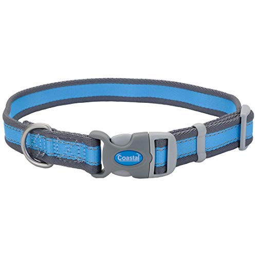 Coastal Pet - Pro - Reflective Adjustable Dog Collar, Bright Blue with Grey, 3/4" x 10"-14" - color: Bright Blue with Grey, size: 3/4" x 10"-14" (Pack of 1)